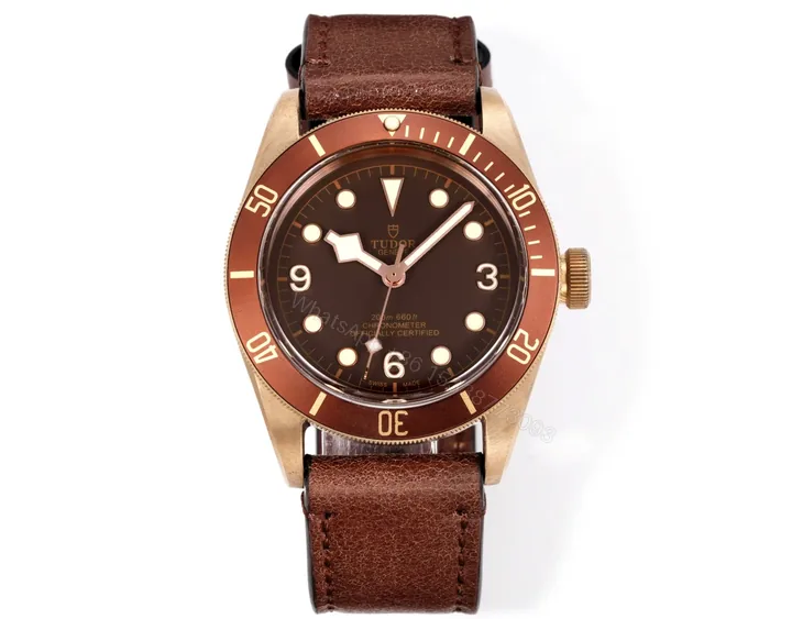 View 1 of Tudor Heritage Black Bay Bronze Brown Dial / Leather 79250BM-0001