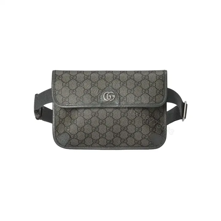 View 1 of OPHIDIA GG SMALL BELT BAG – GBC075