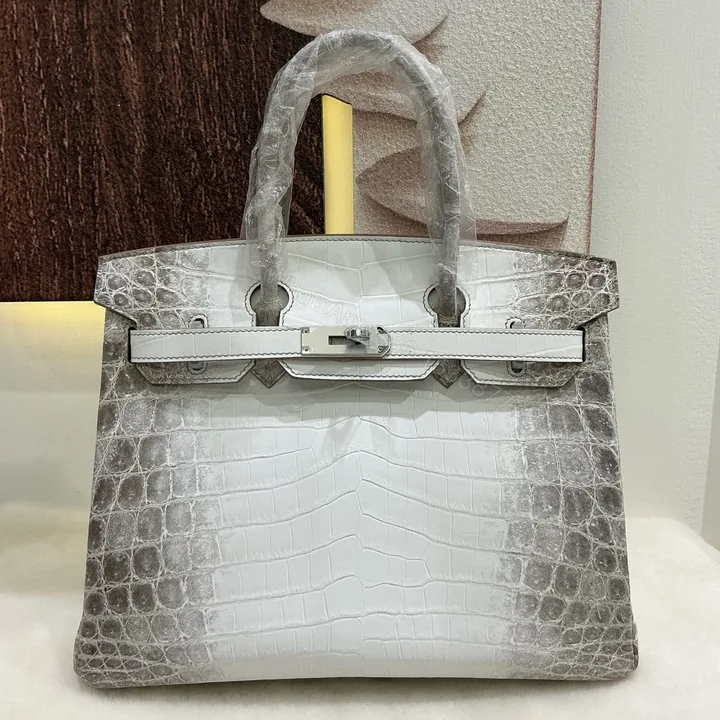 View 1 of Hermes 高仿 女款 Birkin 鱷魚紋手提包 高級質感 百搭奢華風