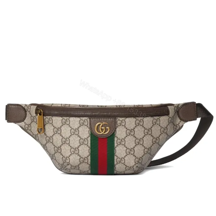 View 1 of Gucci Ophidia Small Belt Bag Beige And Dark Brown 30Cm 839106 FAEOF 9745