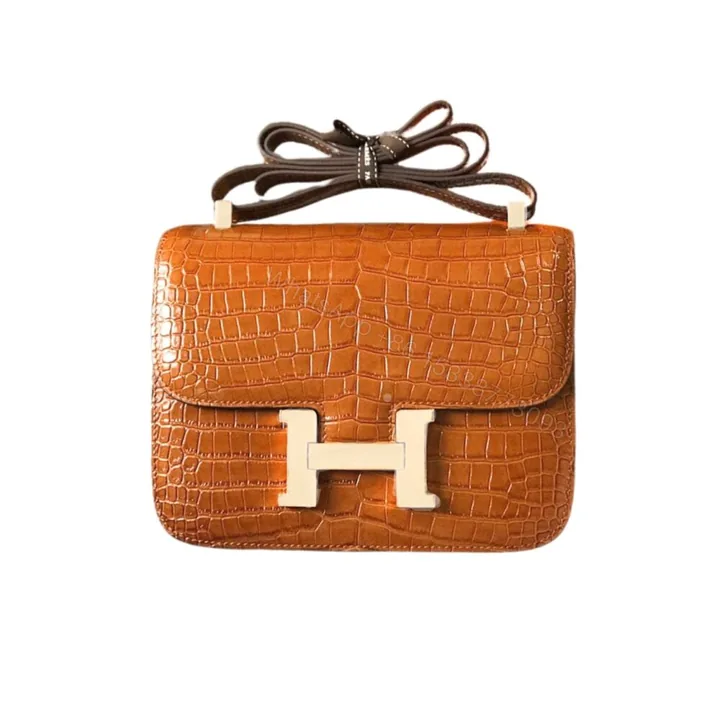 View 1 of Hermès Mini Constance 19 Shiny Alligator Palladium Hardware Gold 19Cm