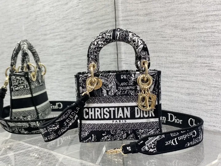 View 1 of Bold Monochrome Dior Bag: Structured Luxe Mini Crossbody