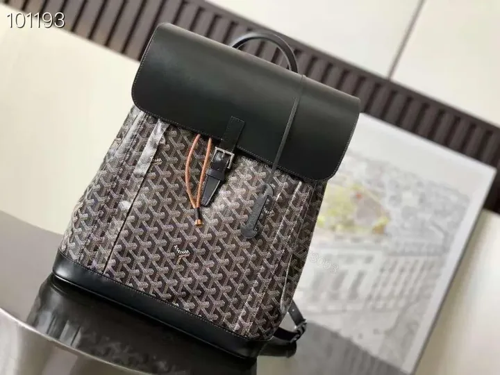 View 1 of GOYARD