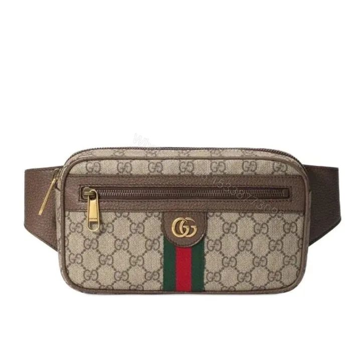 View 1 of Gucci GG Ophidia Belt Bag Brown 24Cm