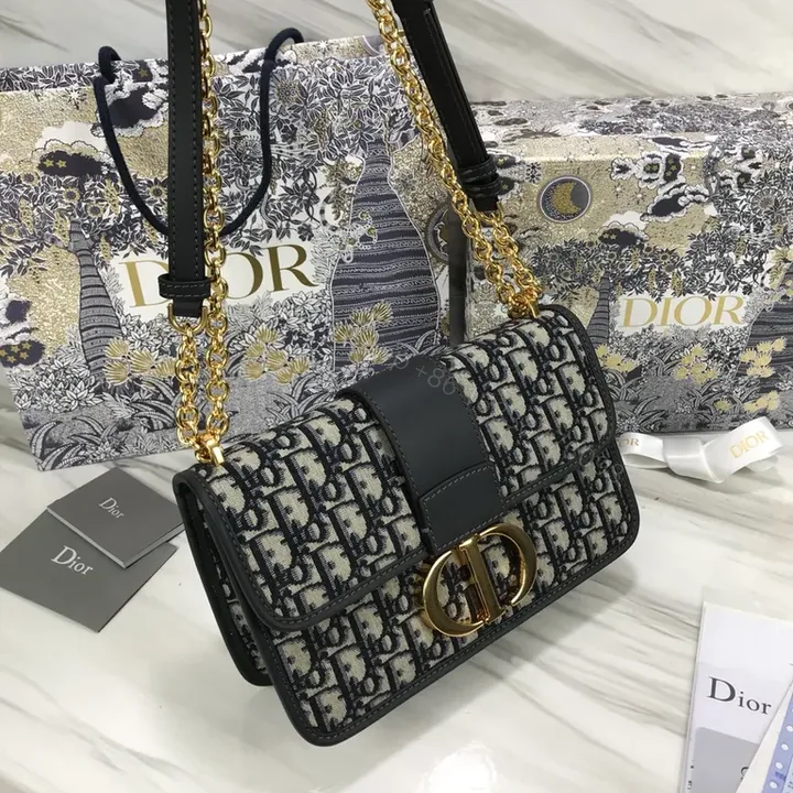View 1 of Iconic Dior Monogram Saddle Bag in Oblique Canvas, Calfskin Trim, Gold Hardware, Versatile Day-to-Night Style