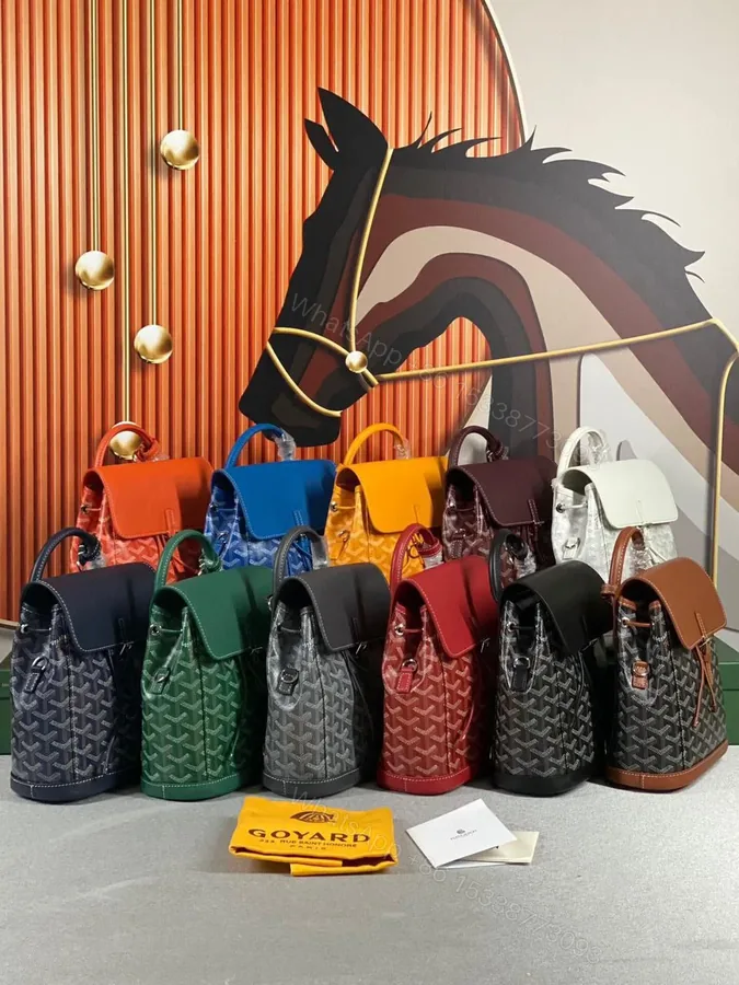 View 1 of GOYARD Alpin backpack
