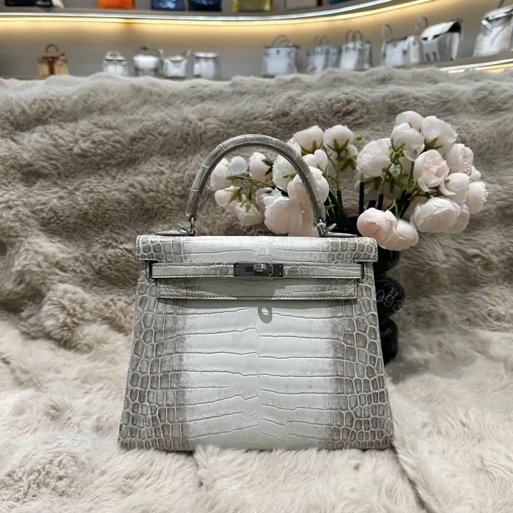 View 1 of Hermes Kelly 25cm Himalaya Crocodile Leather Silver Hardware