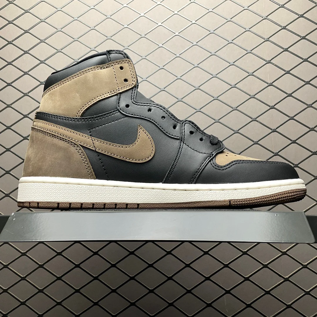 Air Jordan 1 High | Palomino | DZ5485-020