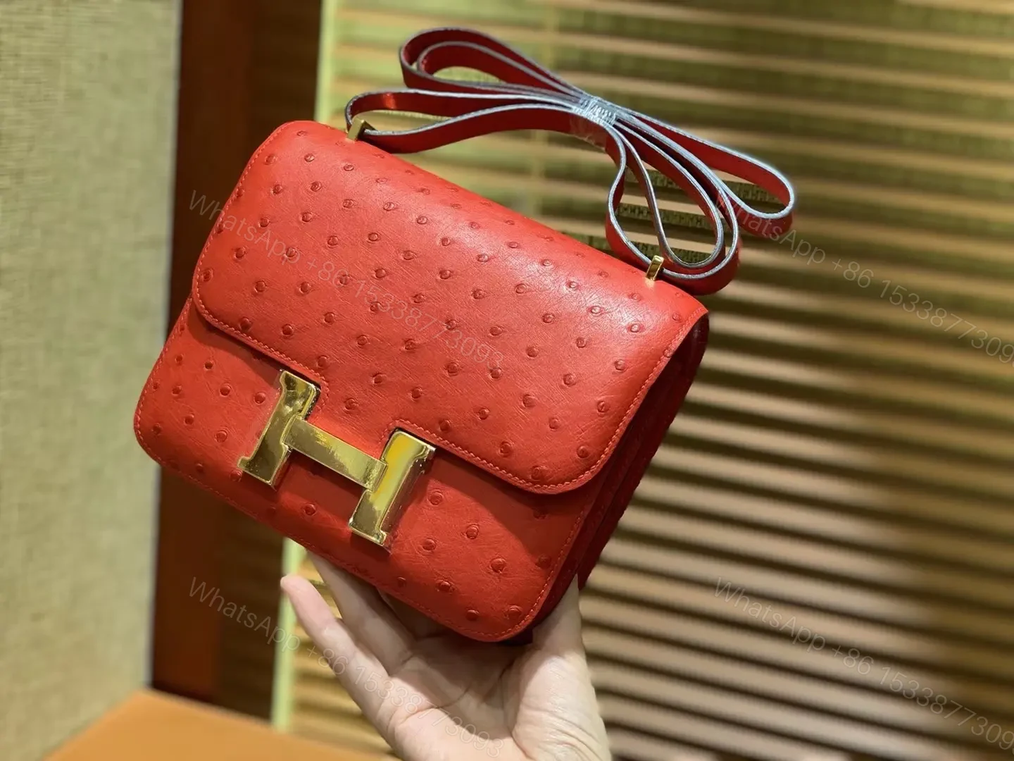 View 4 of HN Rouge Vif Ostrich Constance Mini 18 gold hardware