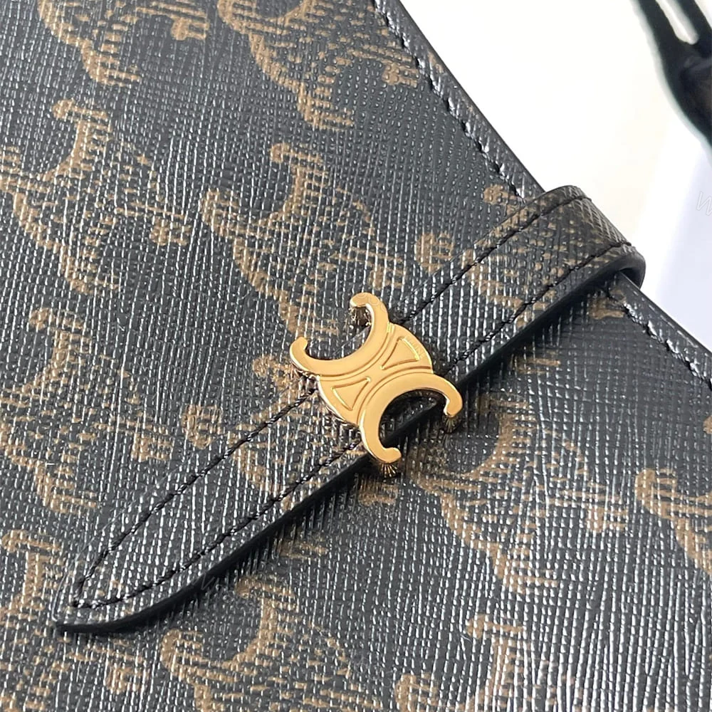 View 6 of Celine TINA SHOULDER BAG IN Triomphe canvas