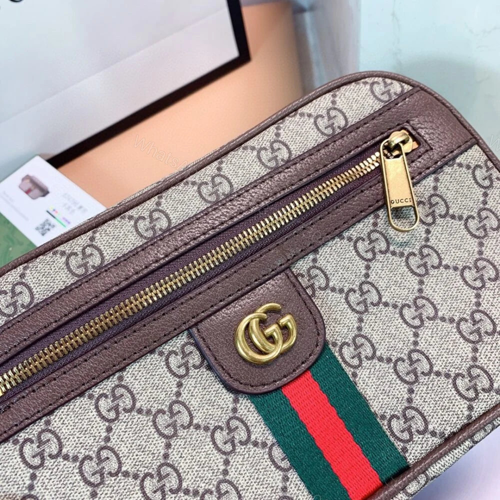 View 5 of Gucci GG Ophidia Belt Bag Brown 24Cm