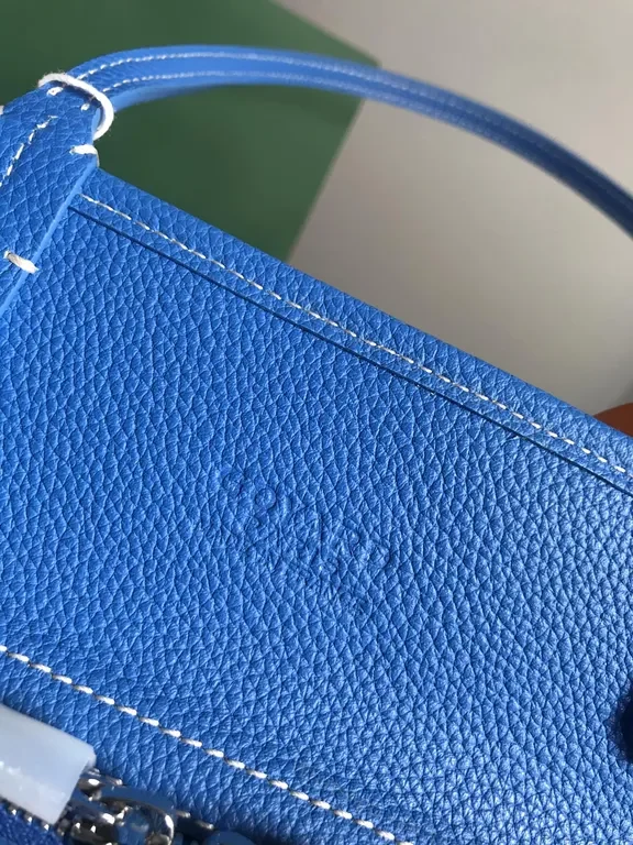 View 5 of Blue Goyard-Inspired Patterned Handbag: Luxe Everyday Tote