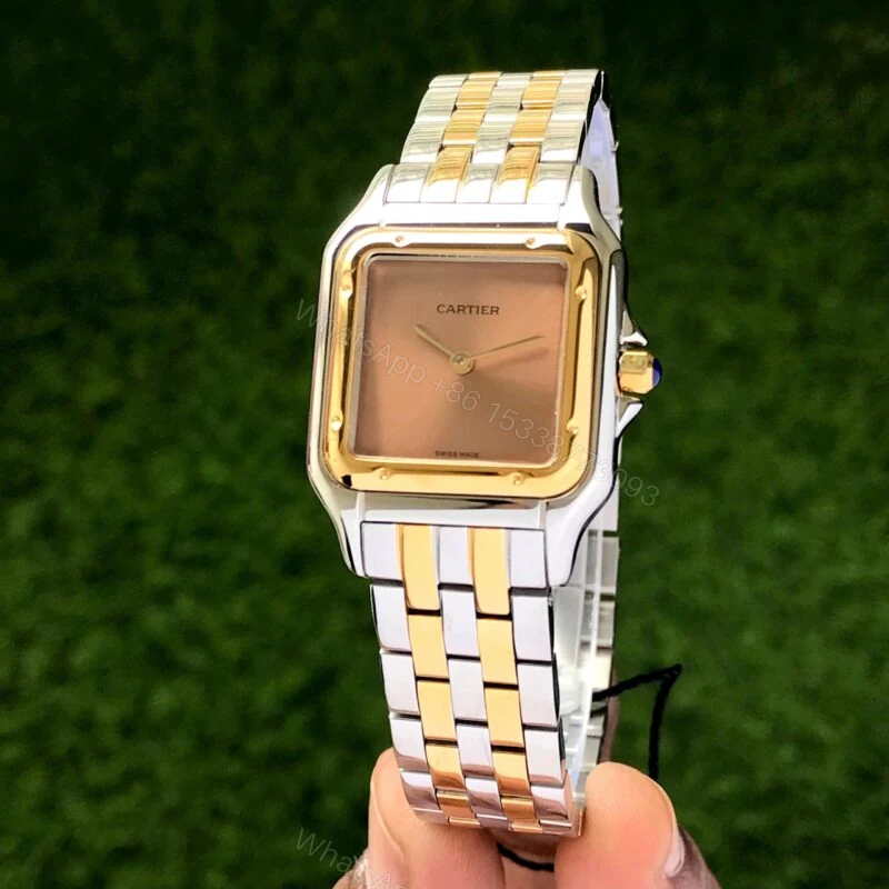 Cartier Panthere De Santos Brown Dial 22mm Quartz — view 1