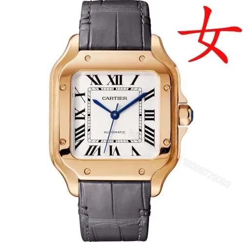 Replica Cartier Santos WGSA0012 Watch — view 1