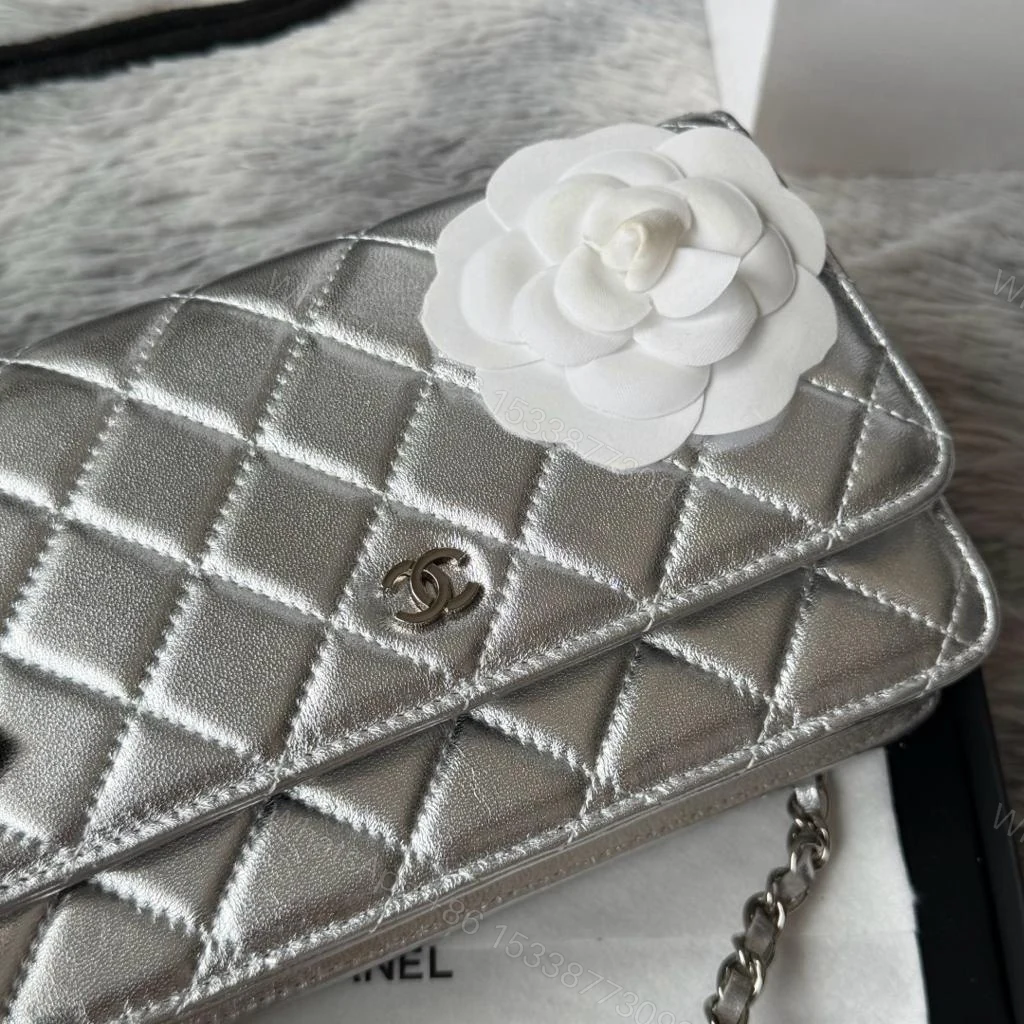 View 5 of Chanel WOC sliver