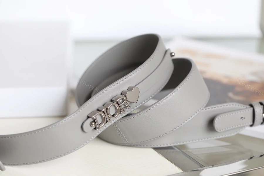 View 8 of Dior My Lady Rep 11 High-Quality Women’s Handbag Gray Glossy Leather 20x16cm