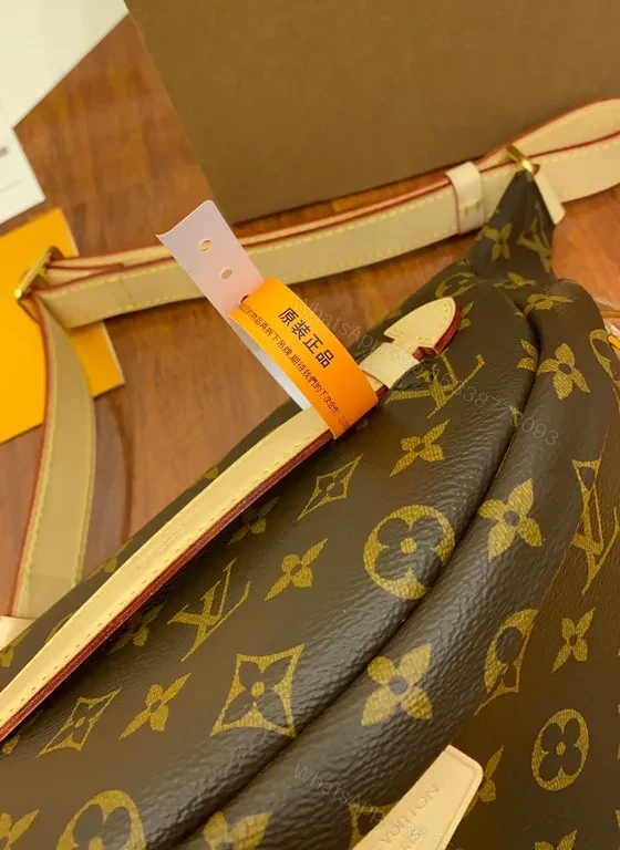 View 8 of Louis Vuitton Monogram Belt Bag: Crossbody Luxury Accessory