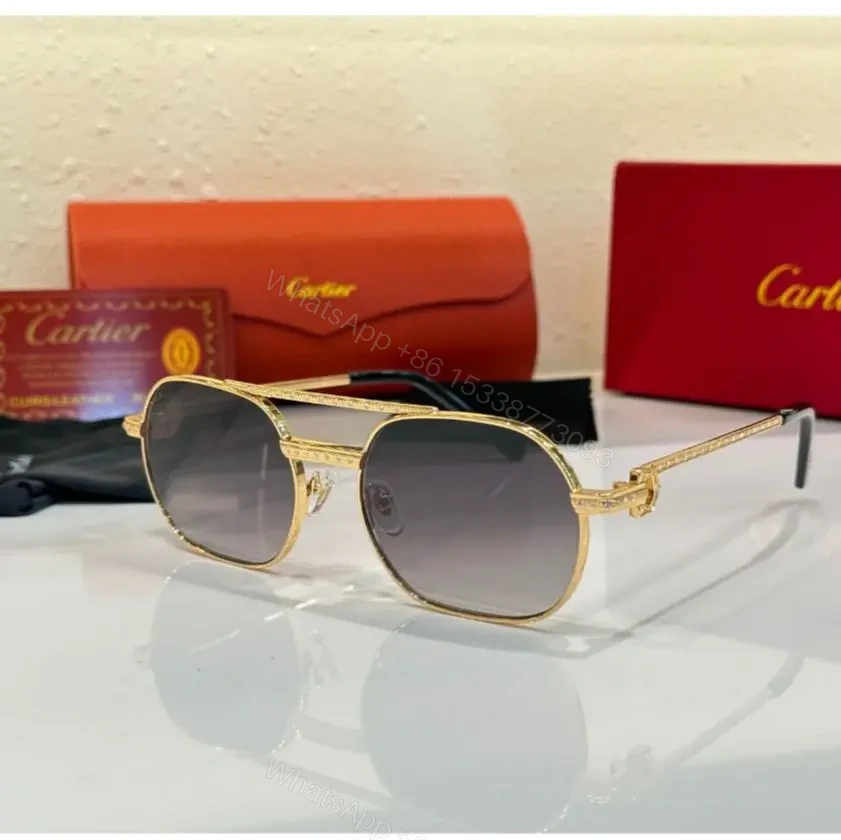 Cartier Tinted Sunglass Black Frame — view 1