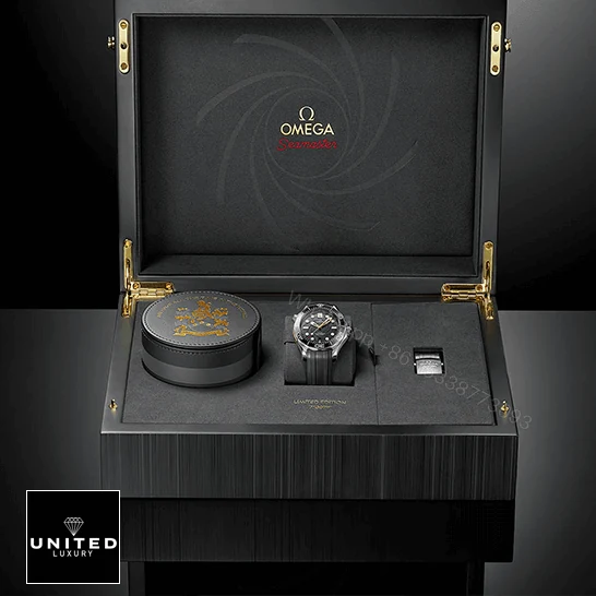 View 9 of Omega Master Chronometer Replica