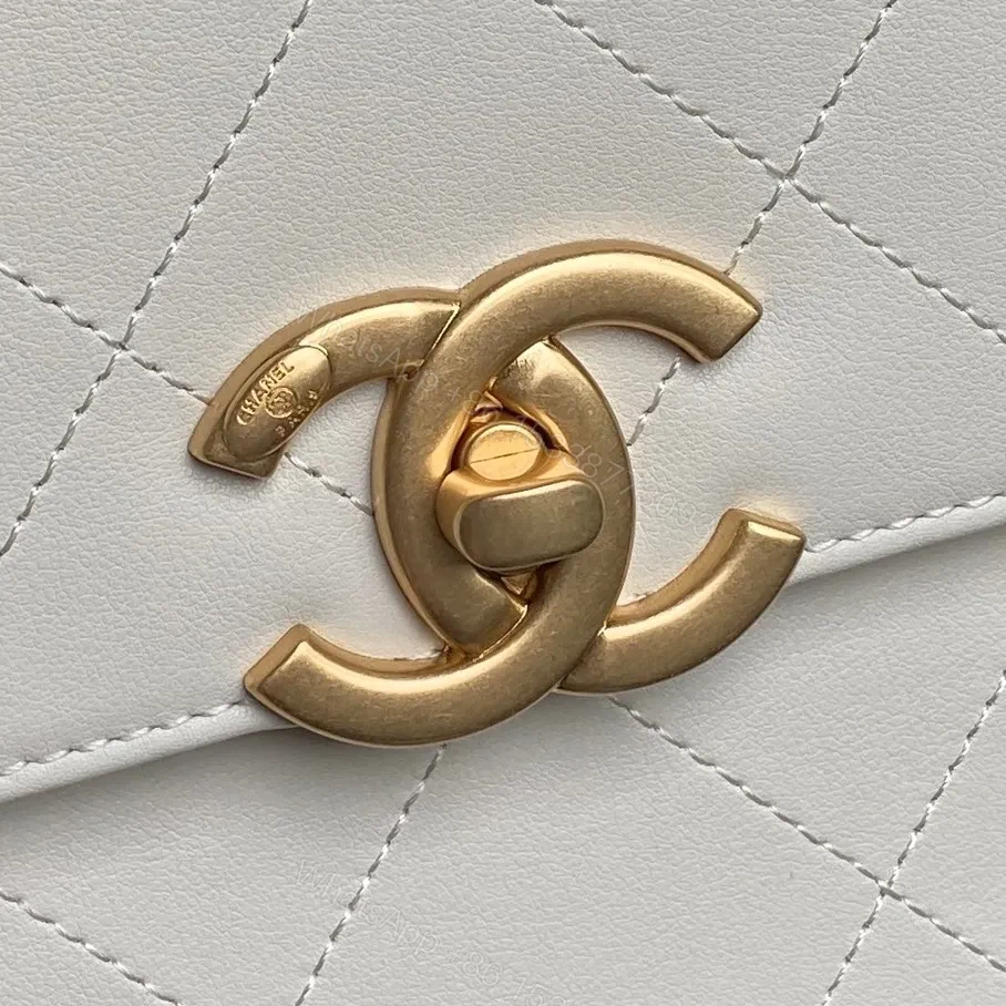 View 6 of Quilted Leather Handbag: Subtle Shine, Iconic Silhouette