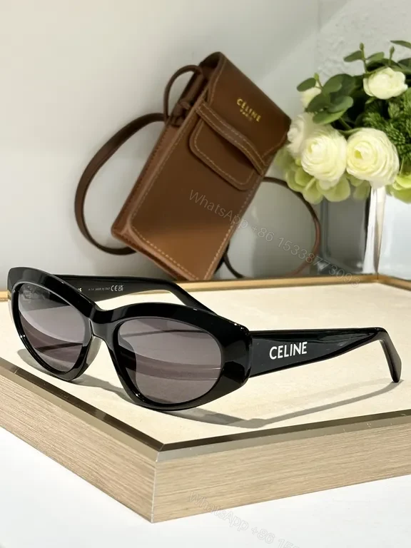 Black Matte Cat-Eye Sunglasses | Acetate, UV400 Gradient, CELINE Detail — view 1