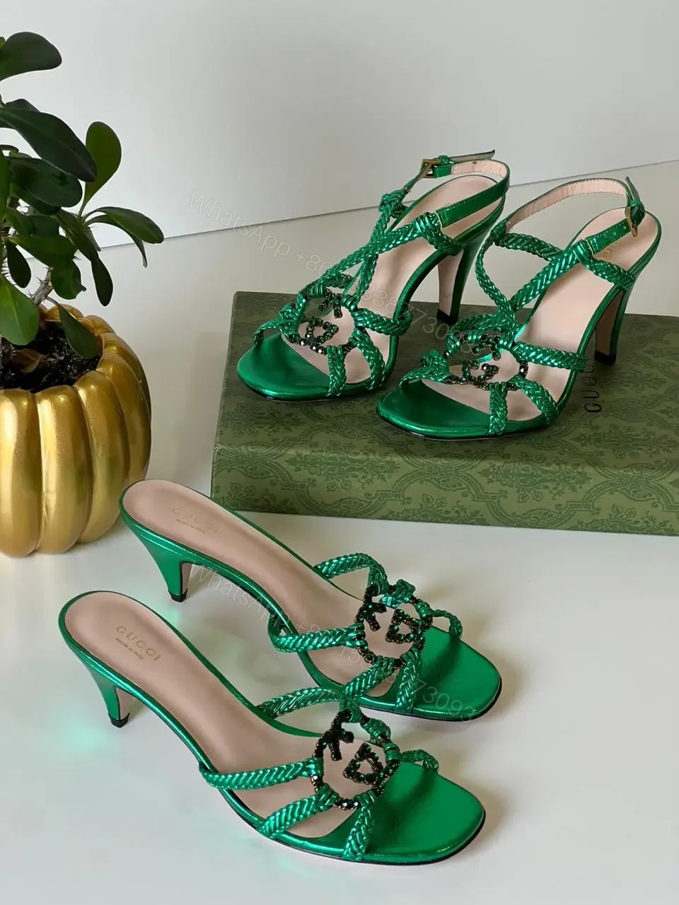 GUCCI — view 1