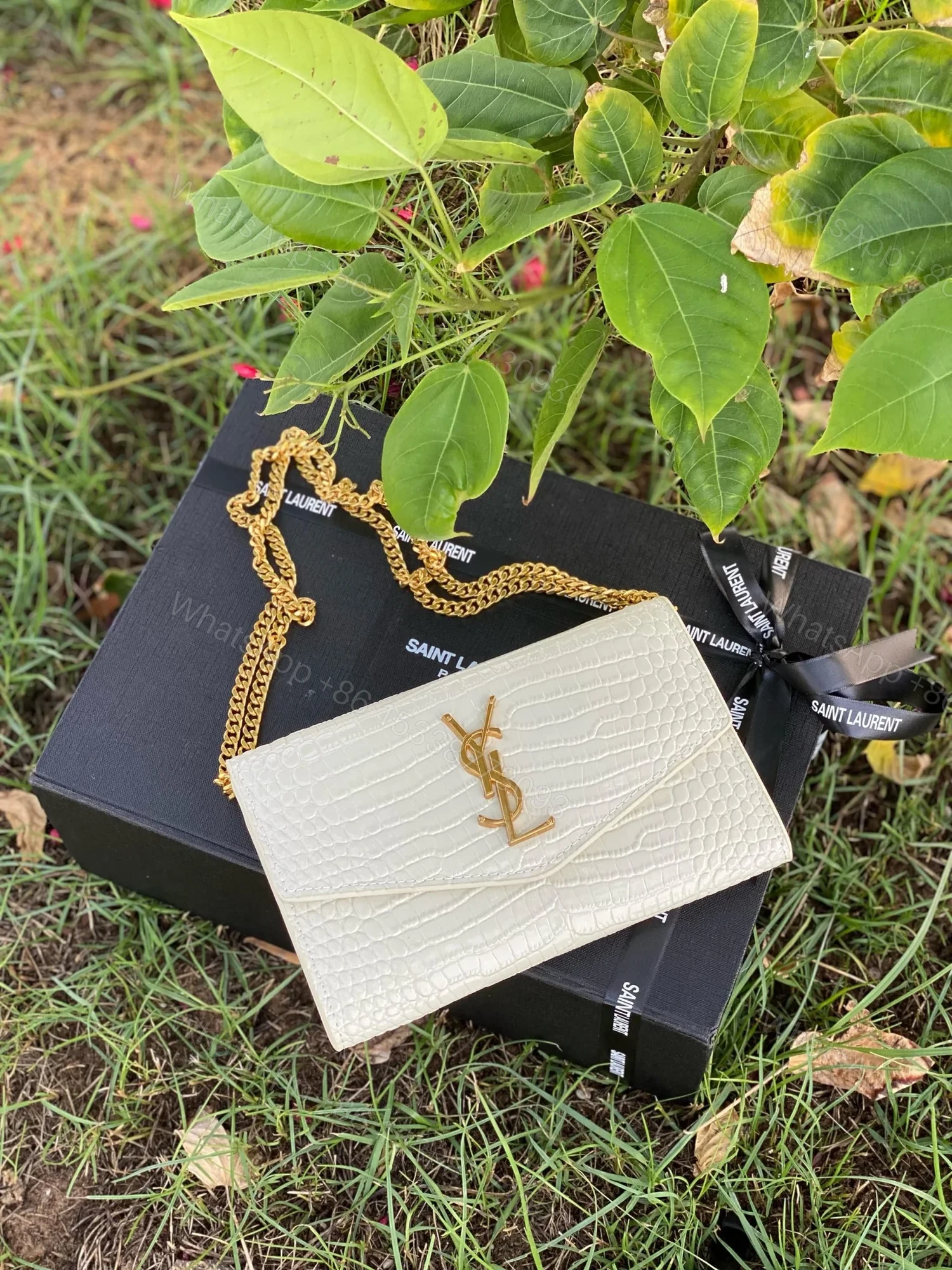 YSL — view 1