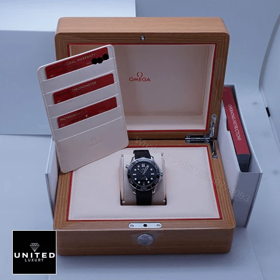 View 10 of Omega Seamaster Master Replica