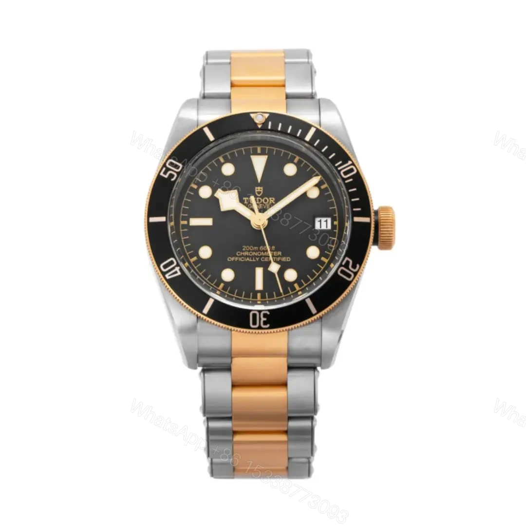 Tudor Heritage Black Bay Gold Silver Replica — view 1