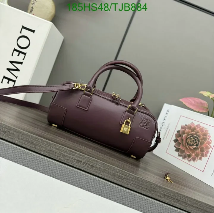 View 7 of Loewe Burgundy Amazona 23 Bag featuring Gold-Tone Hardware DZ2857