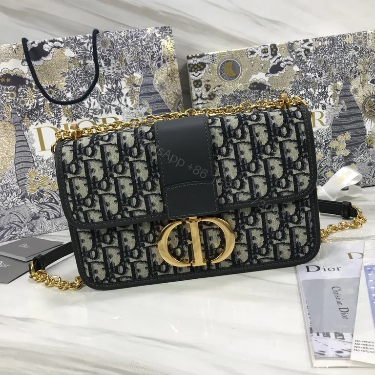 View 2 of Iconic Dior Monogram Saddle Bag in Oblique Canvas, Calfskin Trim, Gold Hardware, Versatile Day-to-Night Style