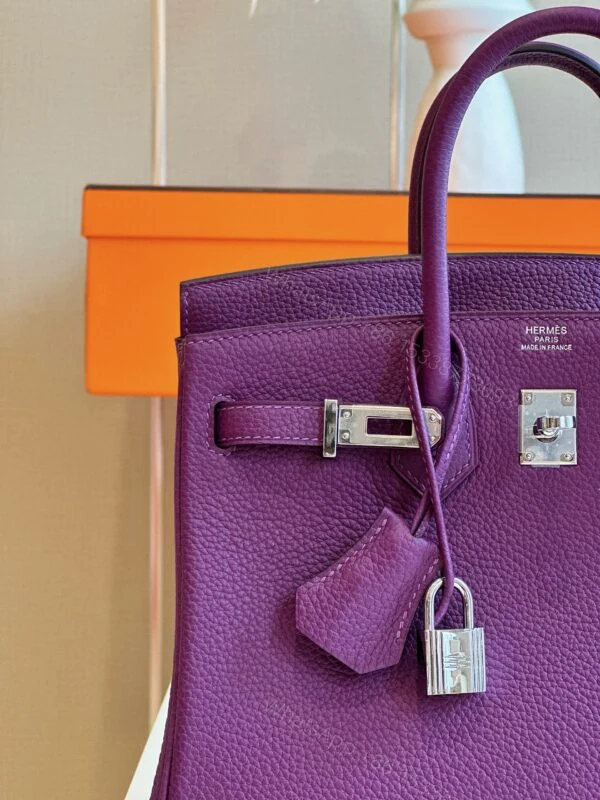View 5 of Hermes Birkin 25 Dark Purple Togo Leather Palladium Hardware