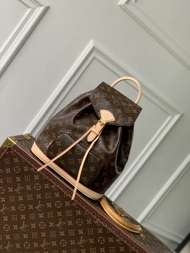 Louis Vuitton Montsouris PM backpack in Monogram coated canvas — view 1
