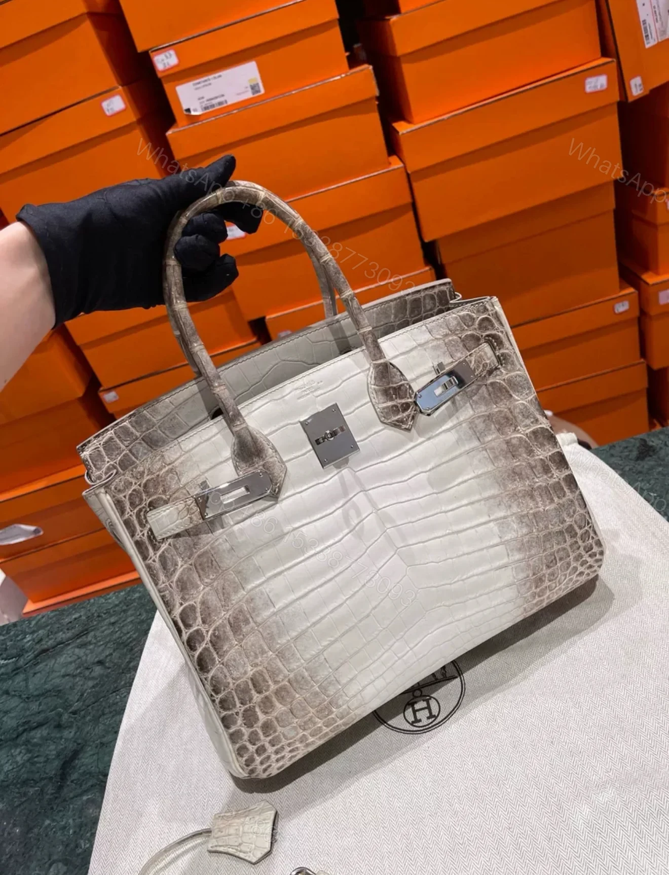 HN 30 Himalaya Albino Genuine Crocodile Leather — view 1