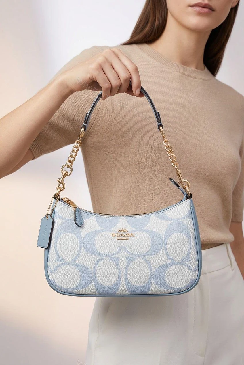 Coach Teri Shoulder Bag Signature Canvas Printed Blue First Copy | AAA+ Replica — view 1