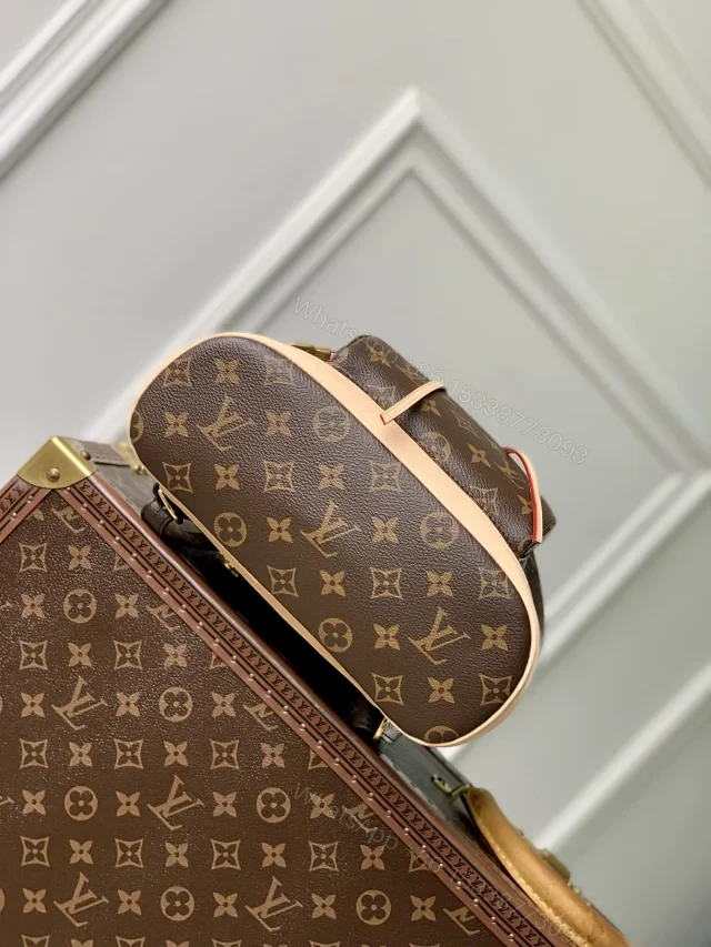 View 4 of Louis Vuitton Montsouris PM backpack in Monogram coated canvas