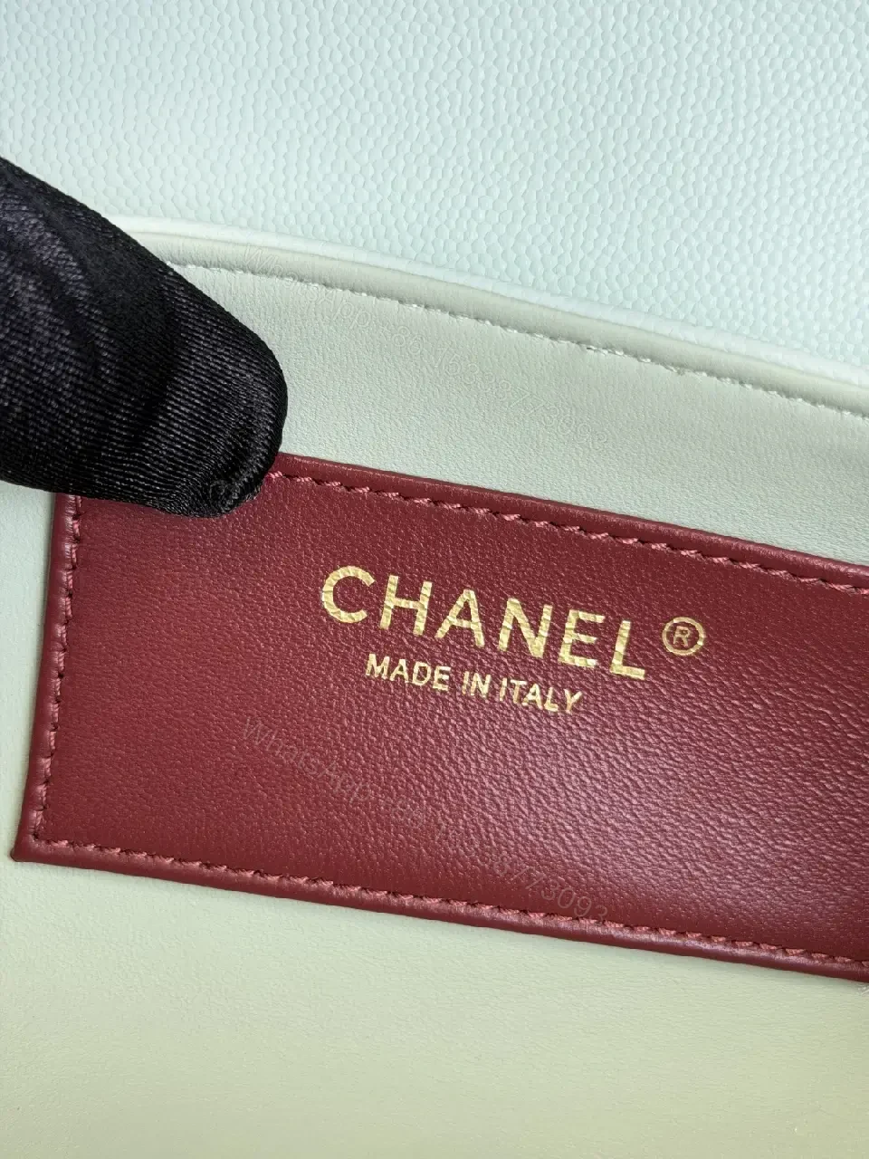 View 10 of Mint Textured Mini Bag with Gold Logo, Crossbody-Optional Luxury
