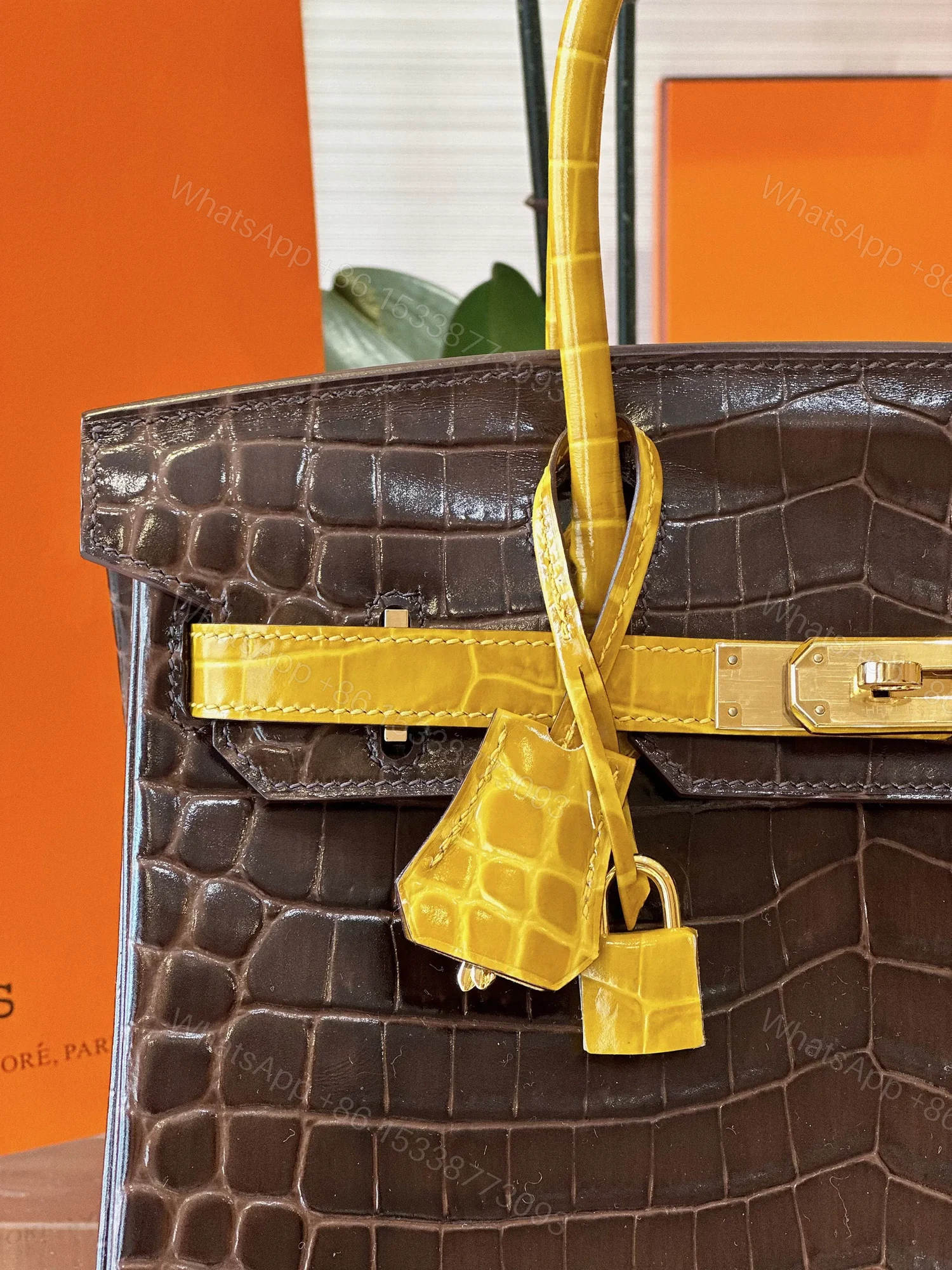 View 3 of HN 30 Brown/Gold Genuine Crocodile Leather Gold Hardware – Custom Made