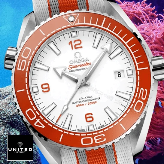 View 9 of Seamaster Planet Ocean Replica