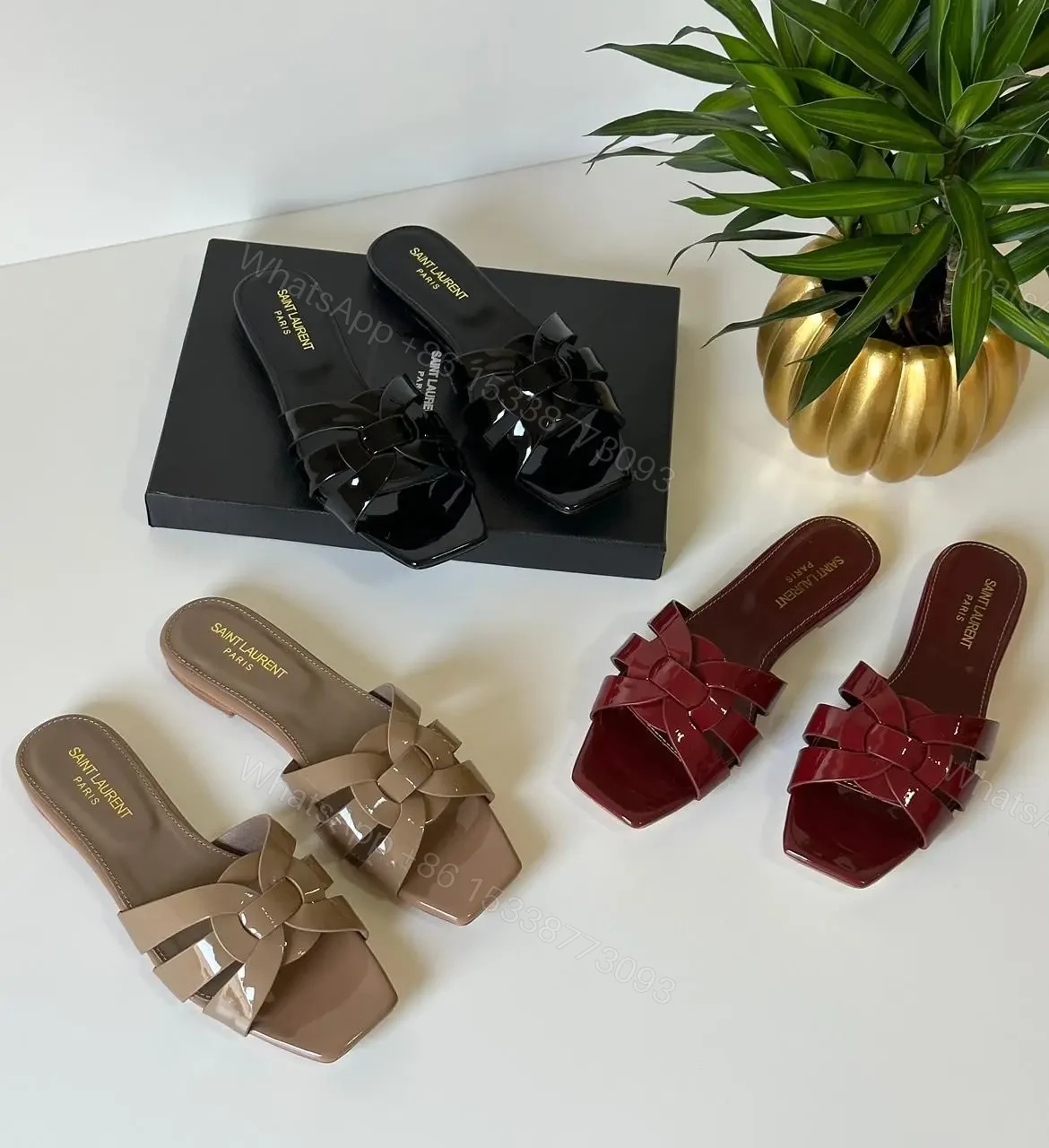 YSL — view 1
