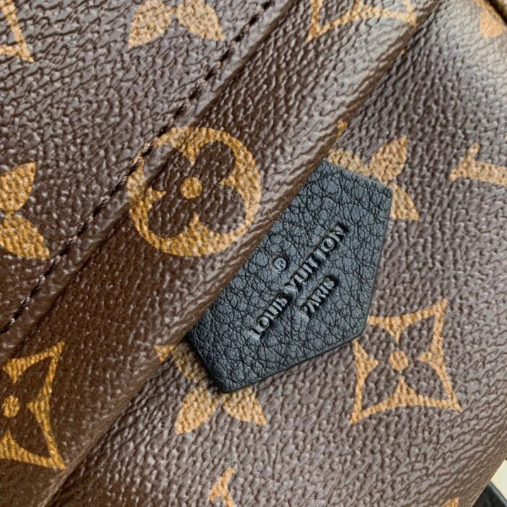 View 4 of Louis Vuitton Palm Springs Mini Backpack Brown 22Cm M44873