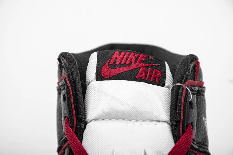 View 8 of Air Jordan 1 Retro High Bloodline 555088-062