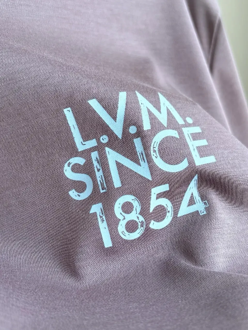 View 11 of Dusty Mauve Oversized T-Shirt, Soft Cotton Knit, Crew Neck, No Pattern, LVM Graphic Front