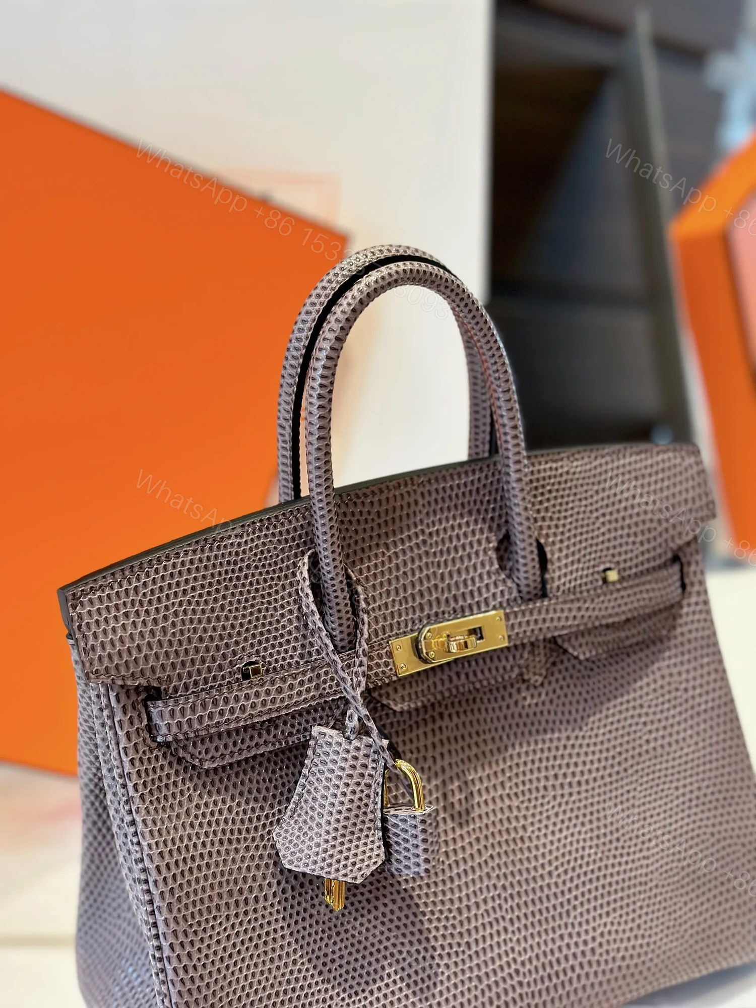 View 2 of HN 25 Tris Fonce Genuine Lizard Leather Gold Hardware