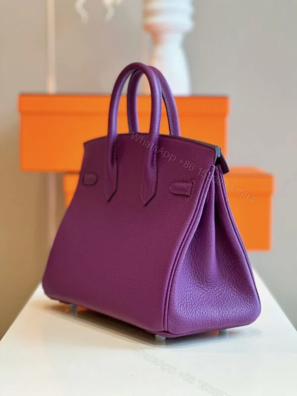 View 6 of Hermes Birkin 25 Dark Purple Togo Leather Palladium Hardware