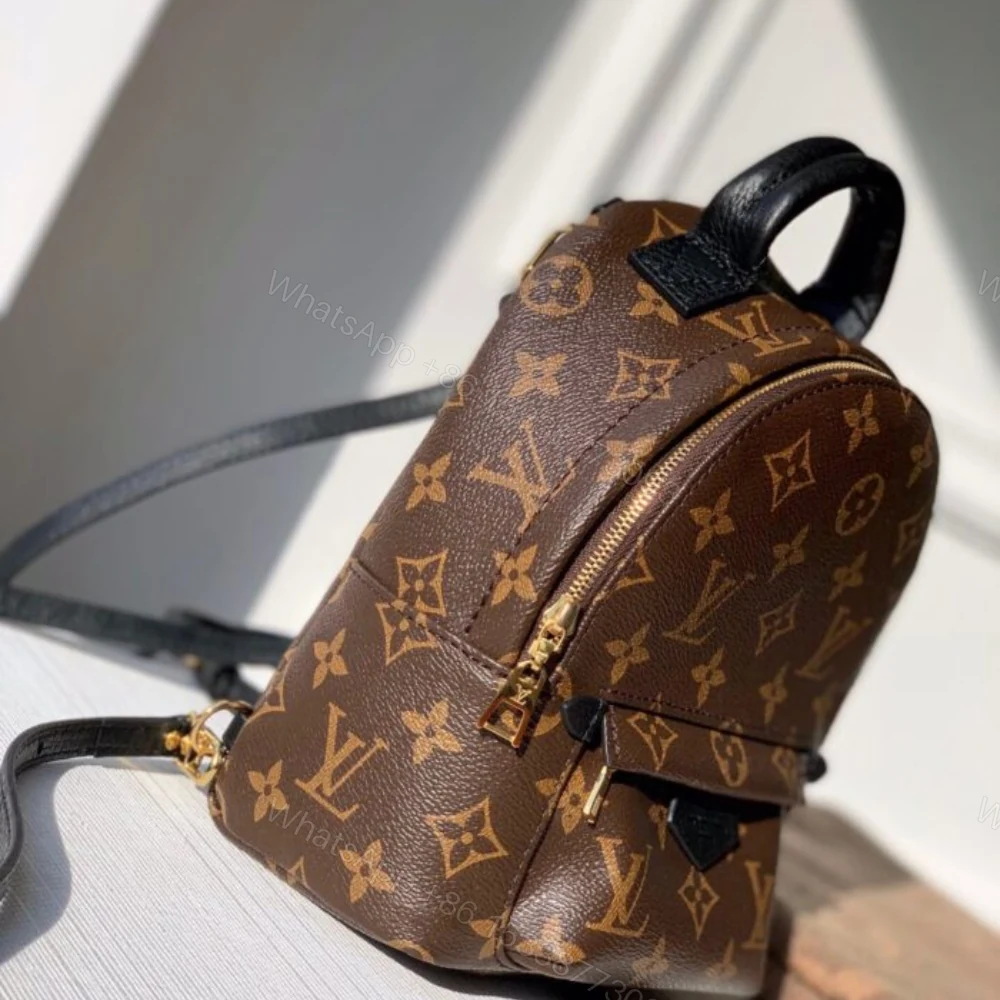 View 2 of Louis Vuitton Palm Springs Mini Backpack Brown 22Cm M44873