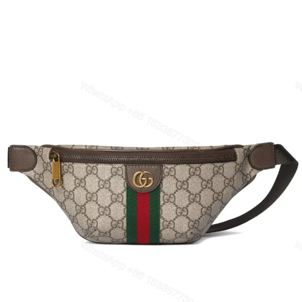 Gucci Ophidia Small Belt Bag Beige And Dark Brown 30Cm 839106 FAEOF 9745 — view 1
