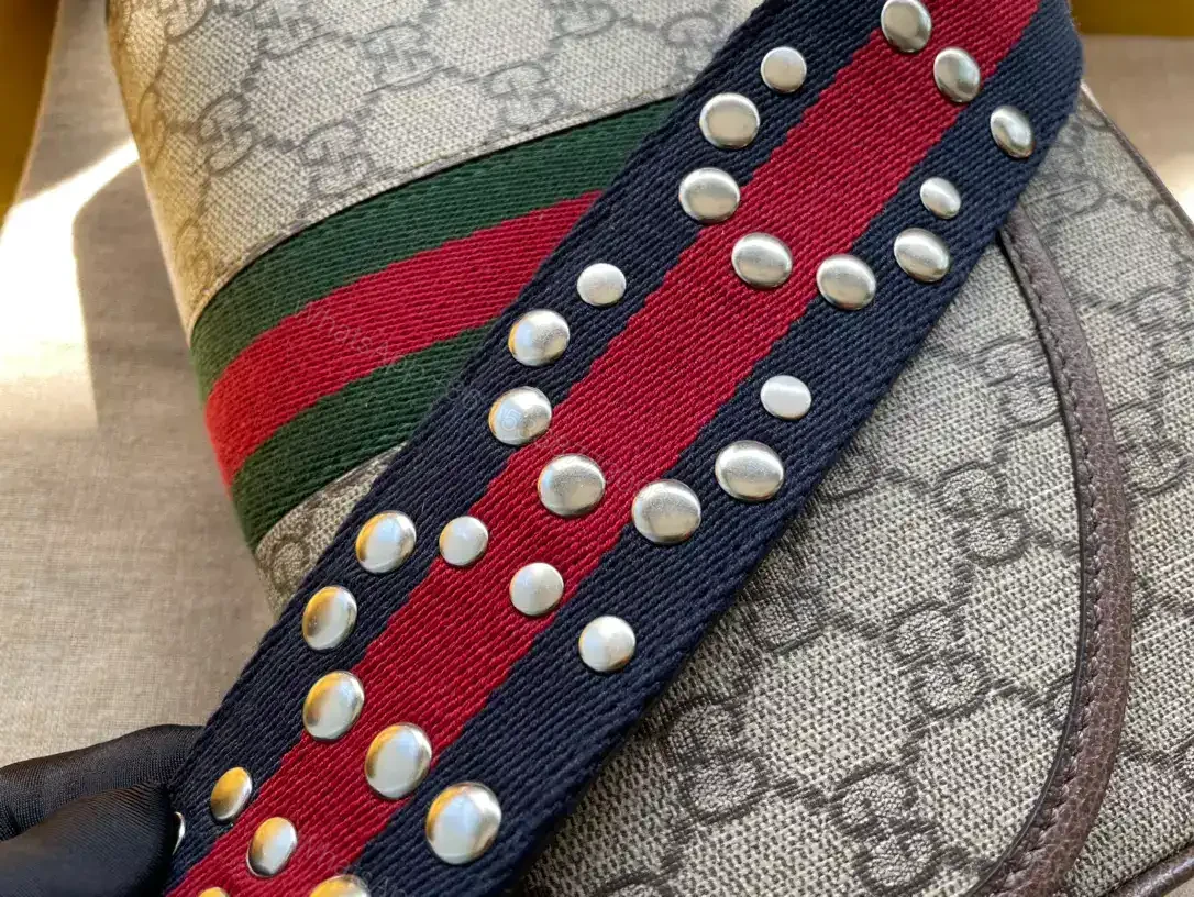 View 6 of OPHIDIA MESSENGER BAG – GBC056