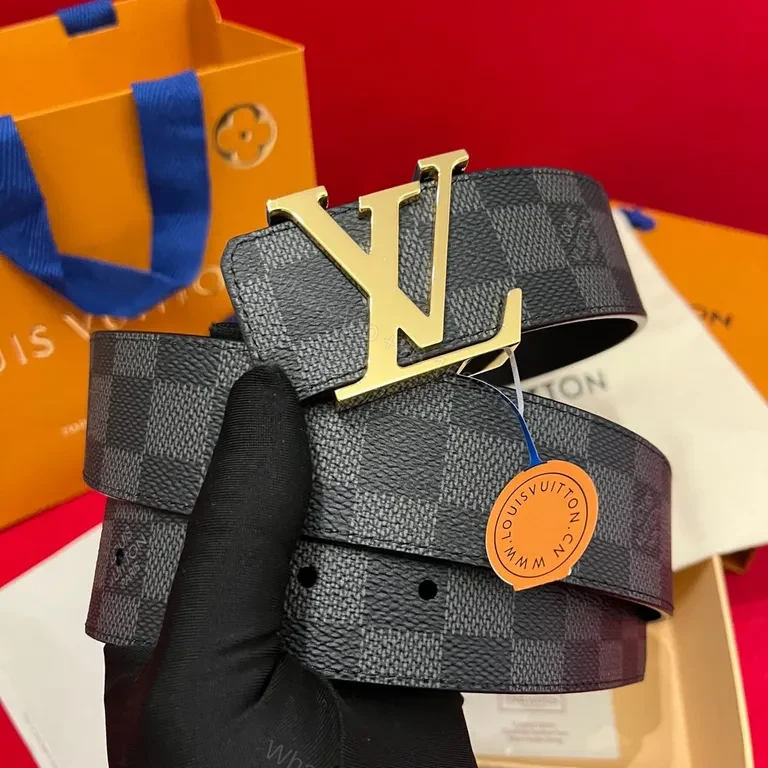 Damier Signature Belt: Gold LV Buckle, Leather-Canvas Luxury — view 1