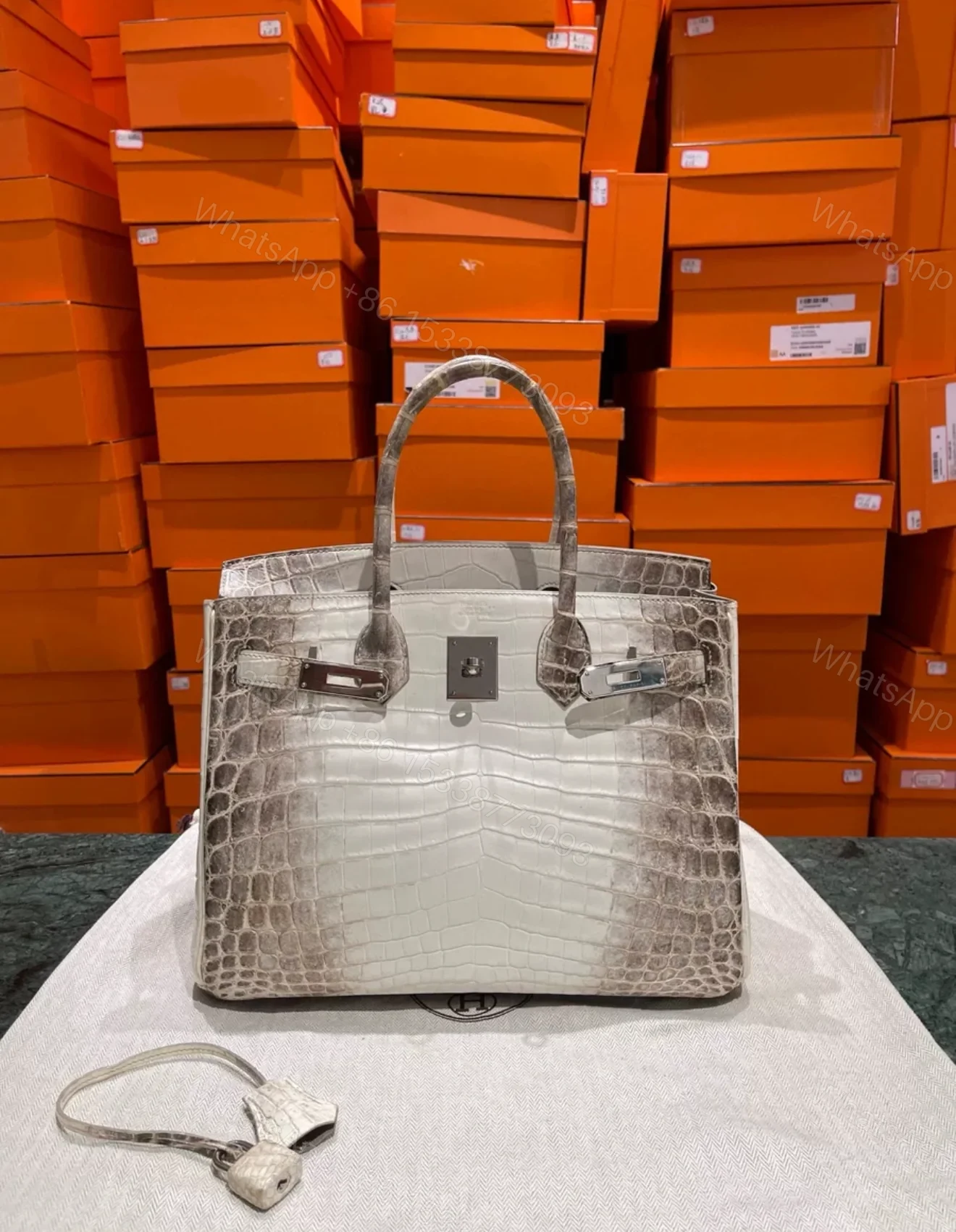 View 2 of HN 30 Himalaya Albino Genuine Crocodile Leather